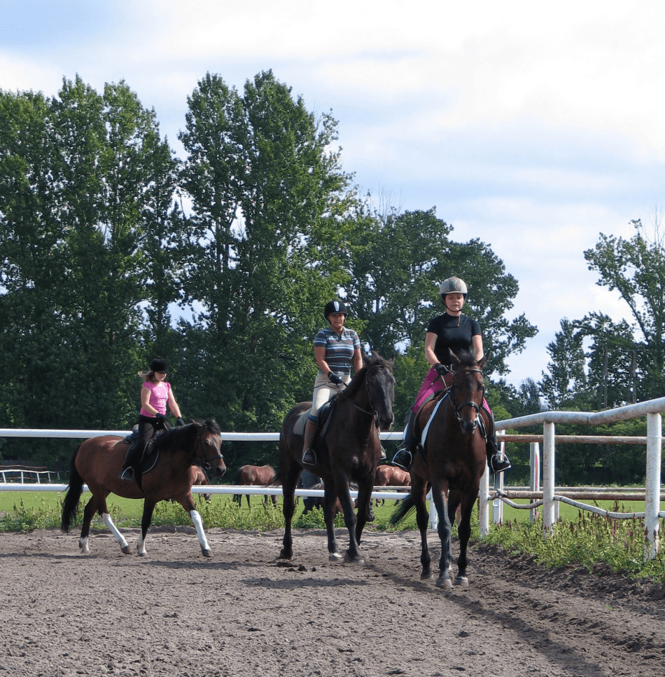 Horse riding camps